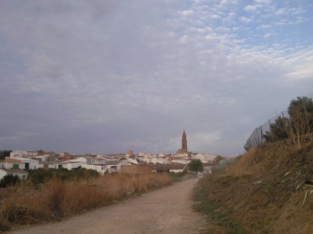 Vista paisajista Bujalance